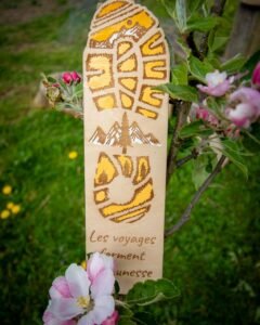 491496826_17875809213321480_9106531413028084832_n