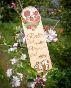 491507331_17875809204321480_8435423107542575511_n