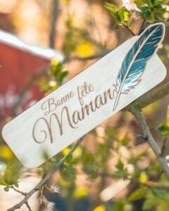 500701833_17879728266321480_6436875052706484773_n